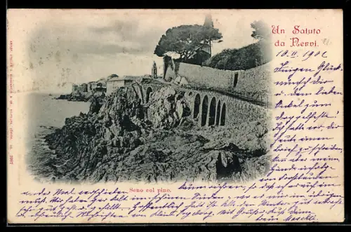 AK Nervi, Seno col pino