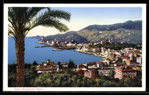 AK Santa Margherita Ligure, Vista panoramica della città e del porto con palme in primo piano