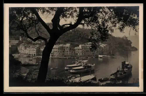 AK Portofino, Veduta del mare con alberi e imbarcazioni sullo sfondo