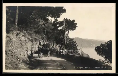 AK Portofino, Strada panoramica con carrozza lungo la costa