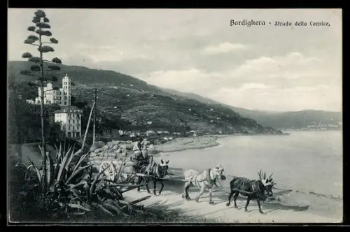 AK Bordighera, Strada della Cornice con carri trainati da cavalli vicino al mare