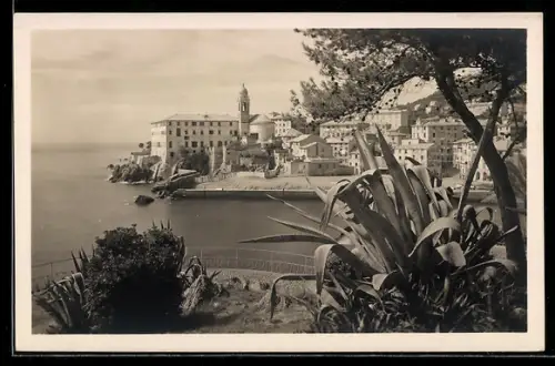 AK Nervi, Panorama