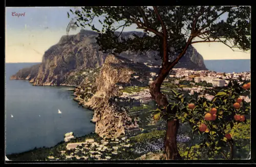 AK Capri, Vista panoramica con alberi di agrumi e mare