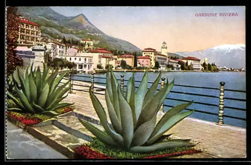 AK Gardone Riviera, Vista del lungolago con vegetazione e montagne sullo sfondo