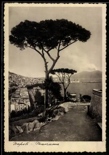 AK Napoli, Panorama con vista sul mare e alberi maestosi