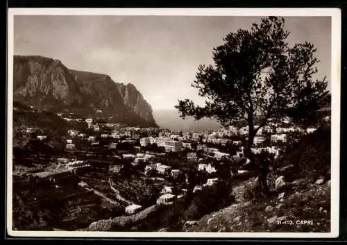 AK Capri, Vista panoramica della città e della costa rocciosa con un albero in primo piano