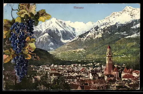 AK Merano, Vista panoramica con montagne innevate e grappoli d`uva