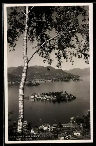 AK Isole Borromee /Lago Maggiore, Vista panoramica con albero in primo piano