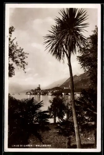 AK Malcesine /Lago di Garda, Vista del castello e palme sul lago