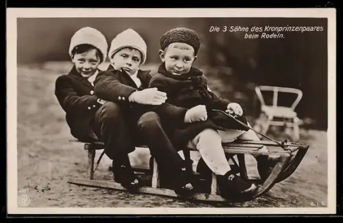 AK Die drei Söhne des Kronprinzenpaares beim Rodeln, Kinderfoto auf Schlitten