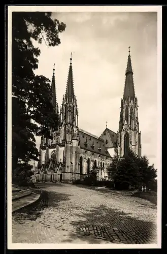 AK Olmütz, Dom, Seitenansicht