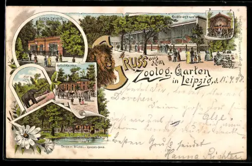 Lithographie Leipzig, Zoologischer Garten, Antilopen-Haus, Raubtierhaus, Bären-Zwinger, Elefant