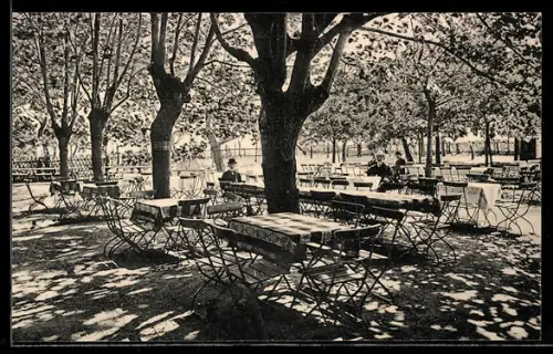 AK Meissen, Restaurant zum Plossen, Biergarten mit Besuchern