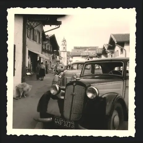 Fotografie Auto DKW, Kfz-Kennzeichen AW 49-3273, Hund markiert sein Revier im Hintergrund