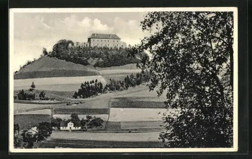 AK Pecka, Blick zum Schloss