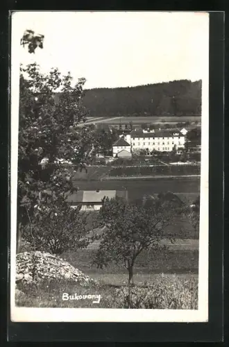 AK Bukovany, Blick ins Tal auf das Schloss