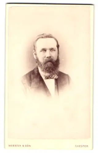 Fotografie Webster & Son, Chester, Bridge St Row 19, Porträt eines bärtigen Mannes