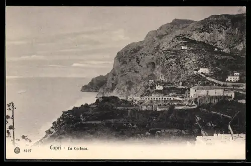 AK Capri, La Certosa