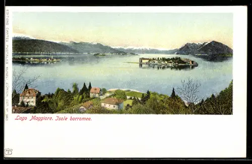 AK Stresa /Lago Maggiore, Isole Borromee, Panorama
