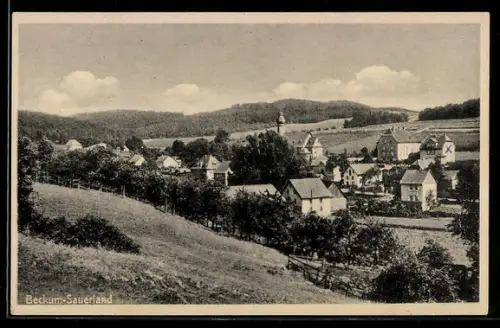 AK Beckum /Sauerland, Ortsansicht mit Kirche und Umgebung