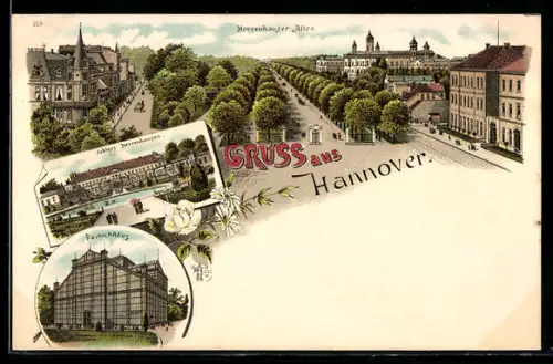 Lithographie Hannover, Palmenhaus, Schloss Herrenhausen