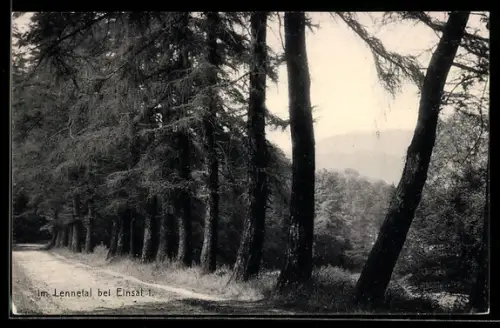 AK Einsal, Partie im Lennetal, Waldweg, Bäume