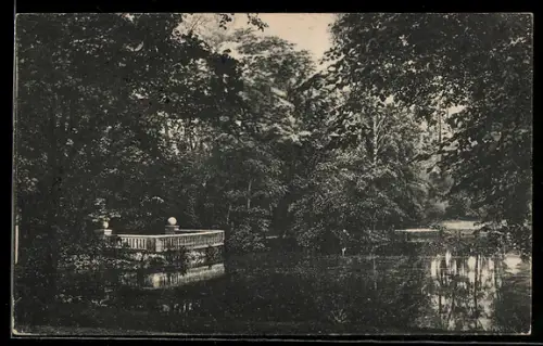 AK Berlin-Steglitz, Partie am See im Stadtpark