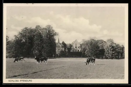 AK Ippenburg, Schloss Ippenburg und Kühe