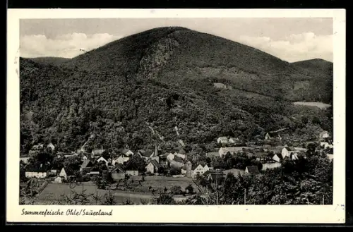 AK Ohle /Sauerland, Ortsansicht, bewaldete Berge