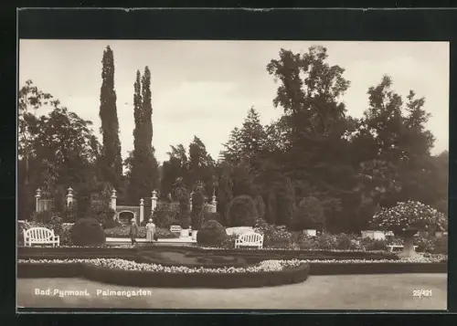 AK Bad Pyrmont, Ansicht vom Palmengarten