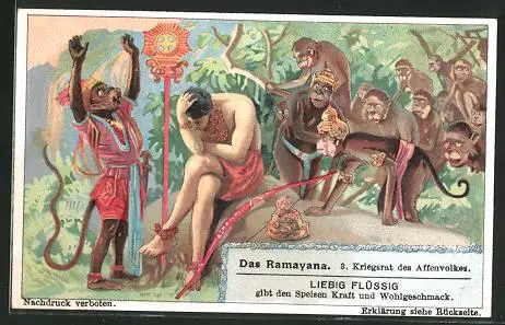 Sammelbild Liebig, Fleisch-Extrakt und Pepton, Das Ramayana, Nr. 3, Kriegsrat des Affenvolkes