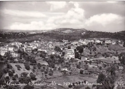 # MONTEMUZZO: PANORAMA