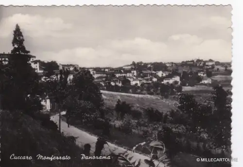 # CUCCARO MONFERRATO: PANORAMA - 1955