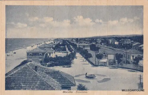 # MAROTTA: PANORAMA 1954