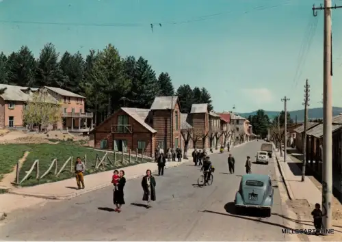 # SILA - CAMIGLIATELLO SILANO 1959