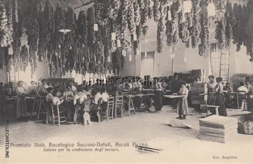 * ASCOLI PICENO - Preisgekrönte Bacological-Anlage Sacconi-Weihnachten - Kreuzungen