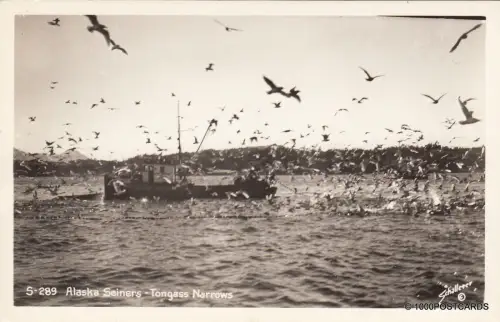 * ALASKA - Seiners - Tongass Narrows