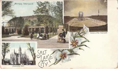 * SALT LAKE CITY - Landschaften