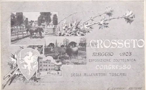 GROSSETO - Mai 1905 - Tierzuchtausstellung - Züchterkongress