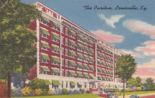 KENTUCKY - Lousville - The Puritan