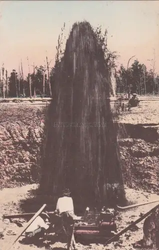 OKLAHOMA - Tulsa - Ein Ölbrunnen ungedeckt für ein Foto