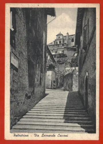 PALESTRINA ROMA, VIA LEONARDO CECCONI, MAX '50 m