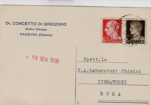 #RADDUSA: Kopf - Dr. KONZEPT VON GREGORIO