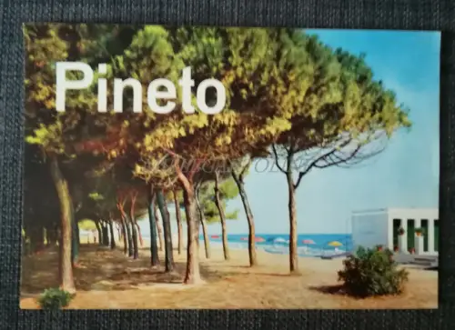 PINETO - Faltbare Touristenbroschüre mit Fotos, Karte, Illustrationen