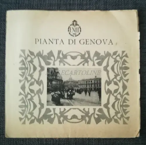 GENUA - ENIT Setzling mit Foto