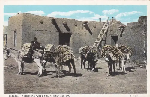 NEW MEXICO - A Mexican Wood Train - Fred Arvey