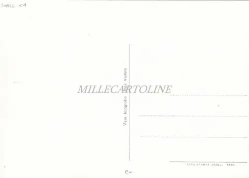 S. QUIRICO D'ORCIA - Piazza Libertà, Albergo Ristorante L'Orcia - Shell ICA