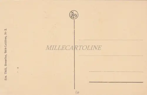 BELGIEN - Flämische Milch