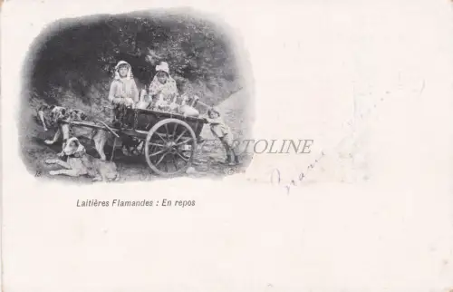 BELGIEN - Flämische Milchprodukte: in Ruhe