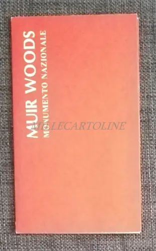 MUIR WOODS - Faltbarer U.S.A. National Park Service Illustriert 1968